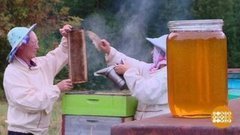 Медовый Спас. Доброе утро. Суббота. Фрагмент