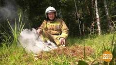 Чтобы лес не горел... Доброе утро. Фрагмент