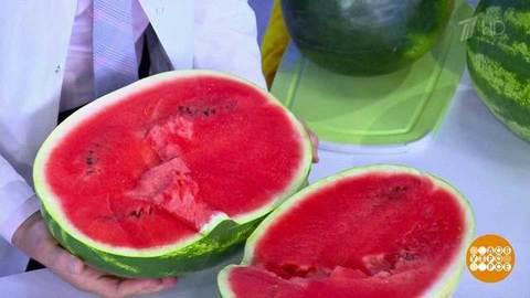 Астраханский арбуз. Жить здорово! Фрагмент