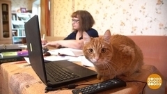 Учительские блоги. Мемы вместо зубрежки. Доброе утро. Фрагмент