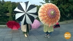 Секреты выбора зонта. Доброе утро. Фрагмент