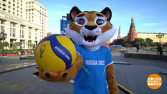 Тигр – талисман Чемпионата мира по волейболу 2022. Доброе утро. Фрагмент