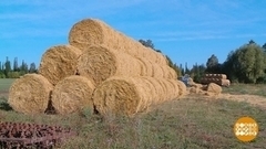 Заготавливаем сено и солому. Доброе утро. Фрагмент