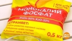 Осенние удобрения. Что пойдет на пользу, а что нет? Доброе утро. Фрагмент