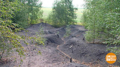 Сколько растет лес? Доброе утро. Фрагмент