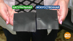 Искусственная кожа против натуральной. Доброе утро. Фрагмент