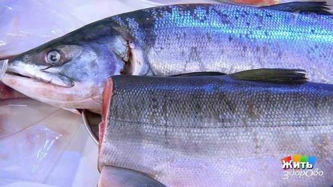 Вкусы России: дикий камчатский лосось. Жить здорово! Фрагмент