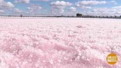 Розовая соль Сасык-Сиваш. Доброе утро. Фрагмент