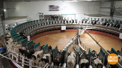 Что нового в сельском хозяйстве? Доброе утро. Суббота. Фрагмент