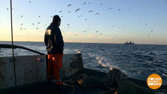 Чем богаты моря. Доброе утро. Фрагмент