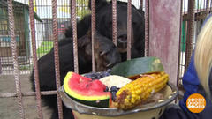 Почему осенью все время хочется есть? Доброе утро. Фрагмент