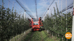 Урожай 2021. Сколько собрали? Доброе утро. Фрагмент