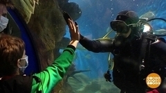 Выходные с детьми. Как не устать. Доброе утро. Фрагмент