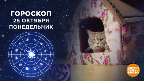 Гороскоп на 25 октября. Доброе утро. Фрагмент