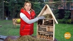 Садовый домик — для полезных насекомых. Доброе утро. Суббота. Фрагмент