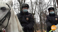 Такая разная полиция. Доброе утро. Фрагмент