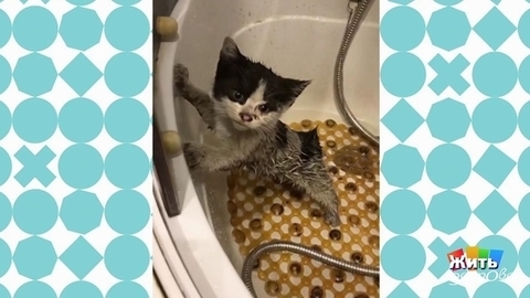 Видели видео? Анонс