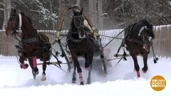 Эх, тройка, птица-тройка! Доброе утро. Фрагмент