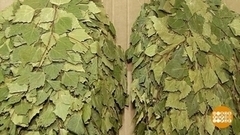 В баню – с замороженным веником? Доброе утро. Фрагмент