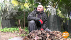 Валенки для пальмы. Доброе утро. Фрагмент