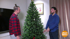 Безопасный новый год: елка. Доброе утро. Фрагмент