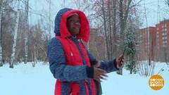 "Ура, мой первый снег!". Доброе утро. Фрагмент