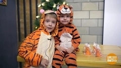 Тигров много не бывает. Доброе утро. Фрагмент