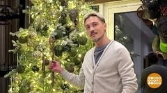 Звездный калейдоскоп: котики, оливье и не только. Доброе утро. Фрагмент