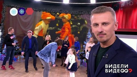 Скунс, который обожает подарки, носуха, устроившая погром в доме, жако-трюкач, разборки на детском утреннике. Видели видео? Часть 1