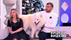 Итоги года. Видели видео? Часть 1