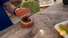 Зубы, будьте здоровы! Доброе утро. Фрагмент