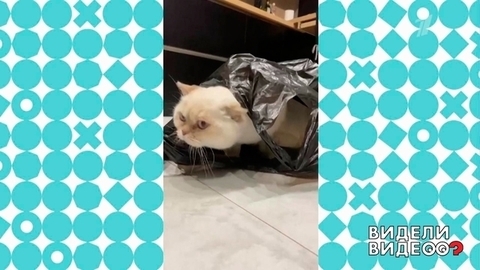 Видели видео? Анонс