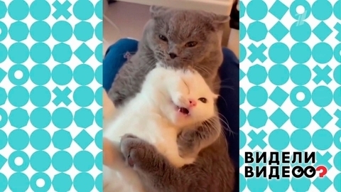 Видели видео? Анонс