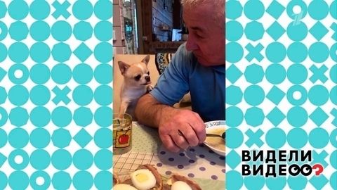 Видели видео? Анонс