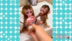 Видели видео? Анонс