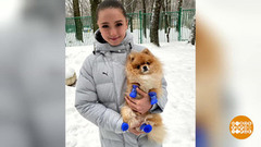 Пять собак Александры Трусовой и Лев Камилы Валиевой. Доброе утро. Фрагмент