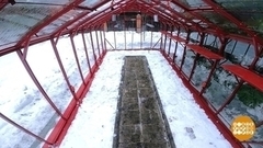 Снег? В теплицу! Доброе утро. Суббота. Фрагмент