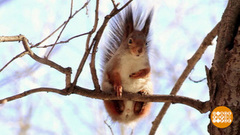 Весна — уже вот-вот. Доброе утро. Суббота. Фрагмент