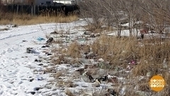 Снег сошел, мусор — тут как тут. Доброе утро. Фрагмент