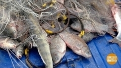 Браконьерам тут не место. Доброе утро. Фрагмент