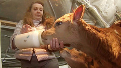 Новый стимул к развитию получили российские производители в санкционных условиях