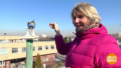 Все мы — солнечные батарейки! Доброе утро. Фрагмент