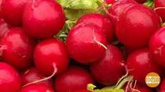 Выбираем редис. Доброе утро. Фрагмент