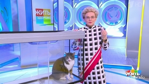 Стрессоустойчивость и инстинкт самосохранения; клюквенный сок; температура тела; пять минут для здоровья. Жить здорово!