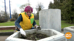 Все на субботник! Доброе утро. Суббота. Фрагмент