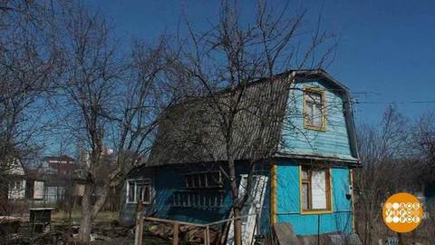 Заброшенный участок: заберут? Доброе утро. Фрагмент