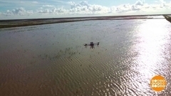 Как дроны рис сажают. Доброе утро. Фрагмент