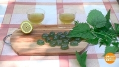 Сезон крапивы. Доброе утро. Суббота. Фрагмент