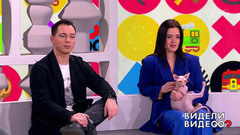 Представление от бордер-колли; добрый мейн-кун; терьер погрыз куклу. Видели видео? Часть 2