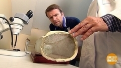 Кого любят комары? Доброе утро. Фрагмент